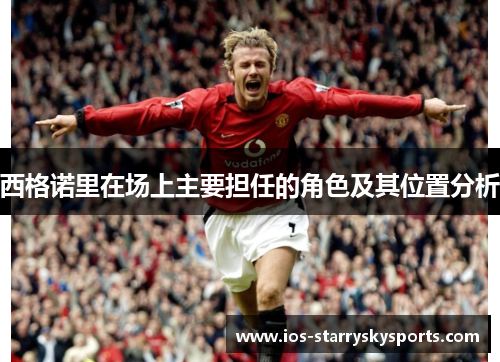 西格诺里在场上主要担任的角色及其位置分析 西格诺里在场上主要担任的角色及其位置分析