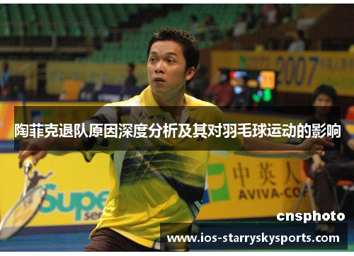 陶菲克退队原因深度分析及其对羽毛球运动的影响 陶菲克退队原因深度分析及其对羽毛球运动的影响