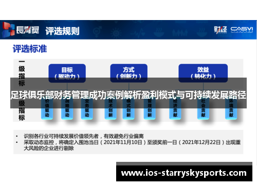 足球俱乐部财务管理成功案例解析盈利模式与可持续发展路径